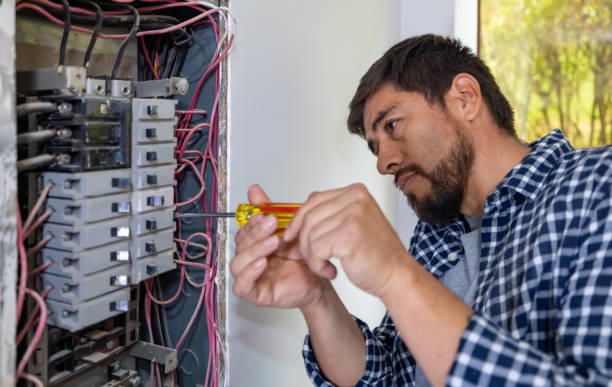 Best Electrical System Inspection  in Dry Run, OH